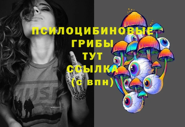 PSILOCYBIN Бронницы